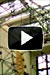 Sierpinski's Growth by James Hayes 2010 - Video