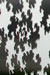 Growth by James Hayes - Stradbally Arthouse Studios