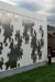 Growth by James Hayes - Stradbally Arthouse Studios