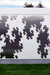 Growth by James Hayes - Stradbally Arthouse Studios