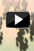 Growth by James Hayes - Stradbally Arthouse Studios - Video
