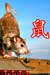 2008 Year of the Rat