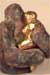 Paternity by James Hayes cont'd